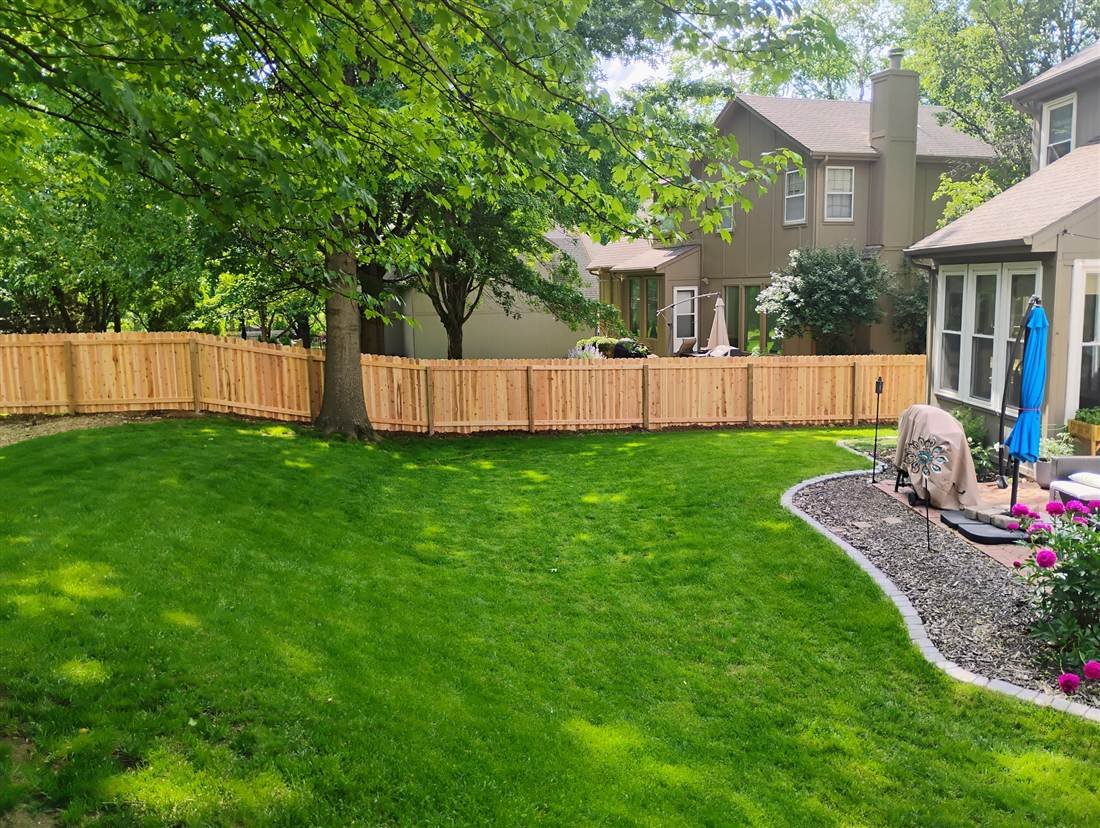 Cedar fence project