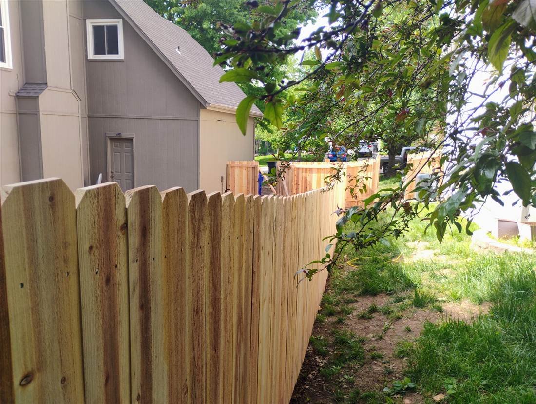 Cedar privacy fence project