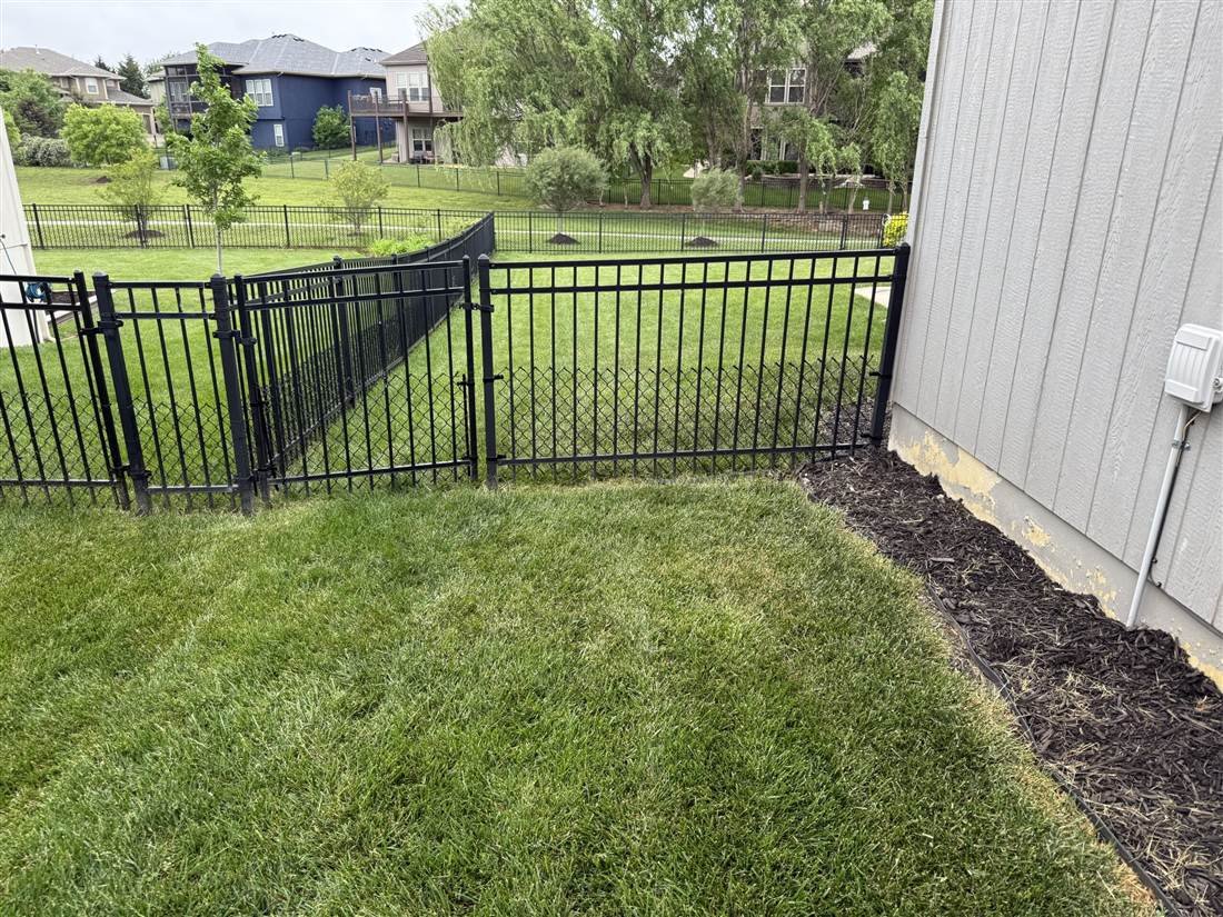 Steel fence post wet-set in concrete