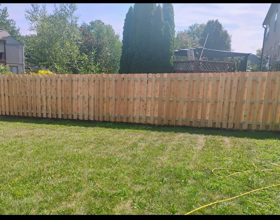 Professional cedar fence build