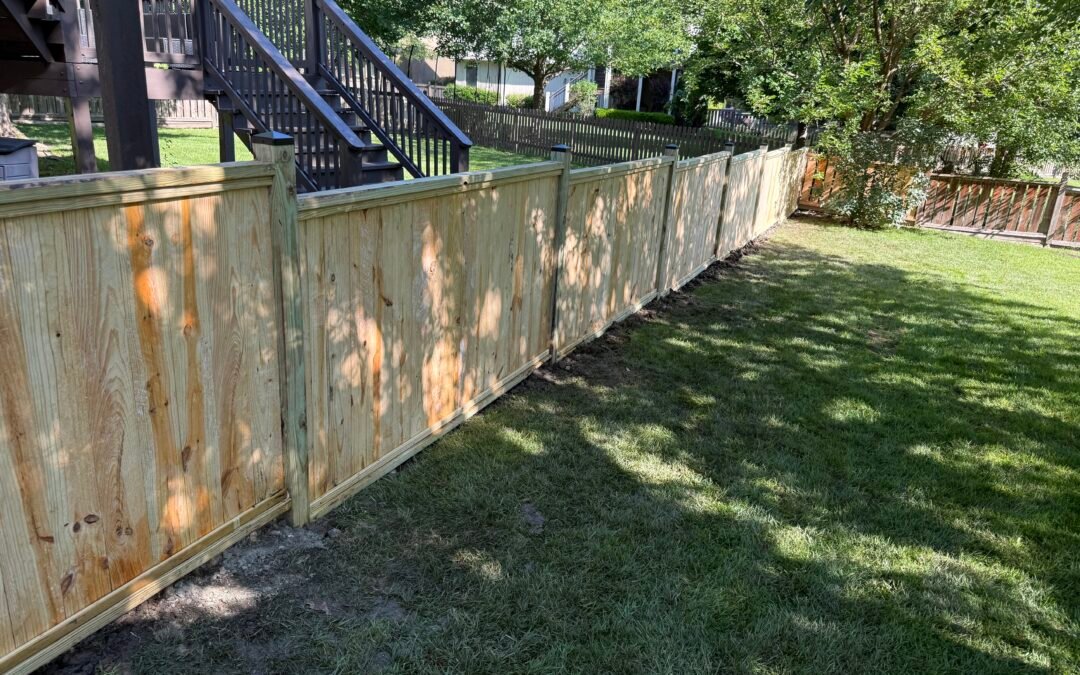Treated Pine Fence Build